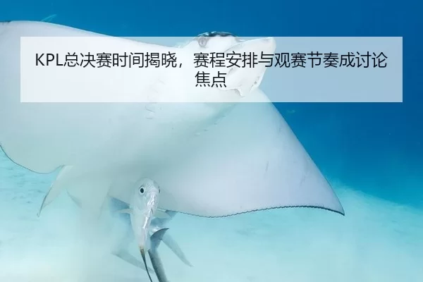 KPL总决赛时间揭晓，赛程安排与观赛节奏成讨论焦点